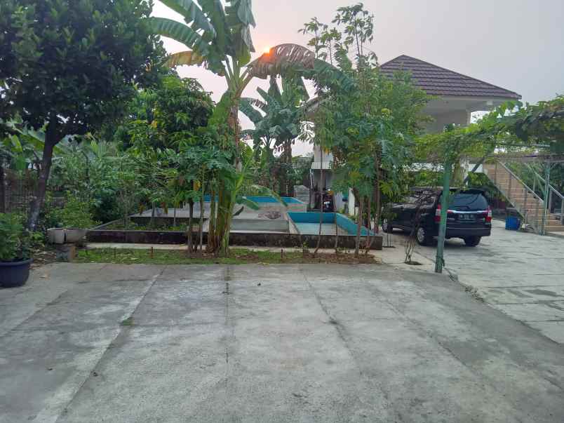 jual rumah mewah dan 11 kolam ikan di kabupaten bogor