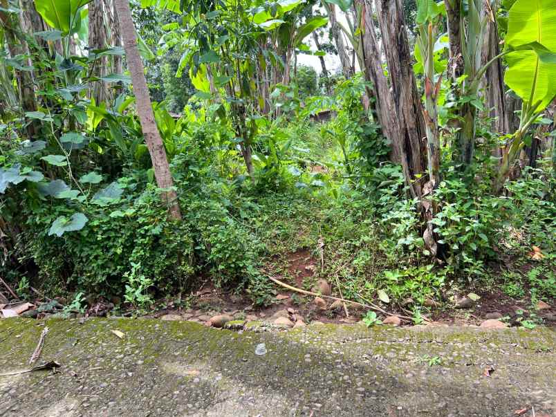 jual tanah barat pasar mojogedang karanganyar