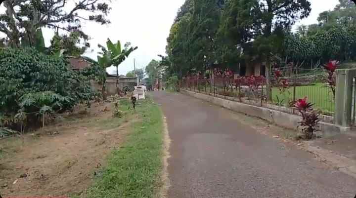jual tanah ciater view kebun teh