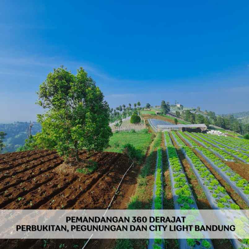 jual tanah murah dekat stasiun kereta cepat padalarang