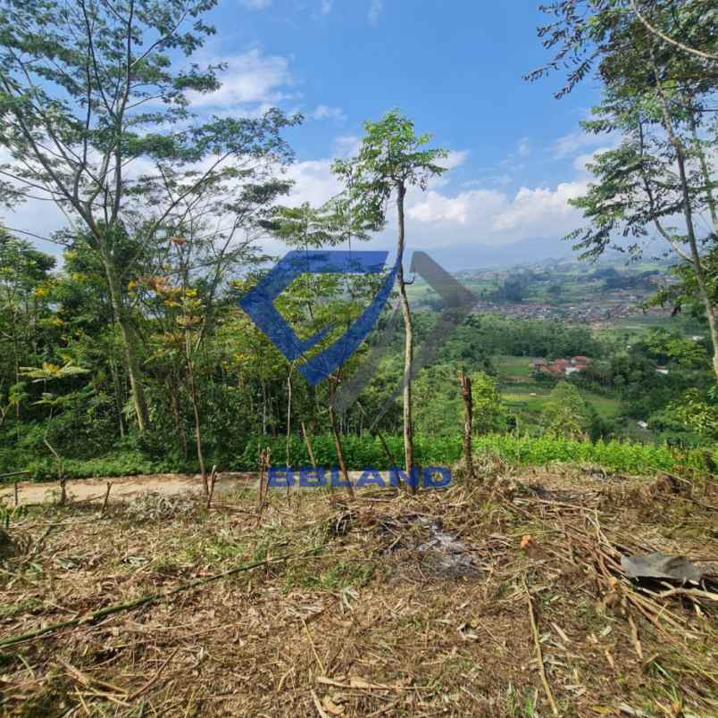 jual tanah murah di ciwidey cocok untuk villa