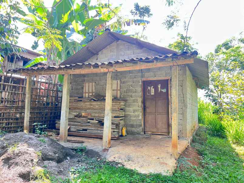 kebun durian 1000m bonus bangunan karanganyar