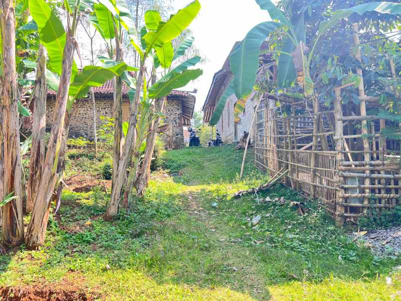 kebun durian 1000m bonus bangunan karanganyar