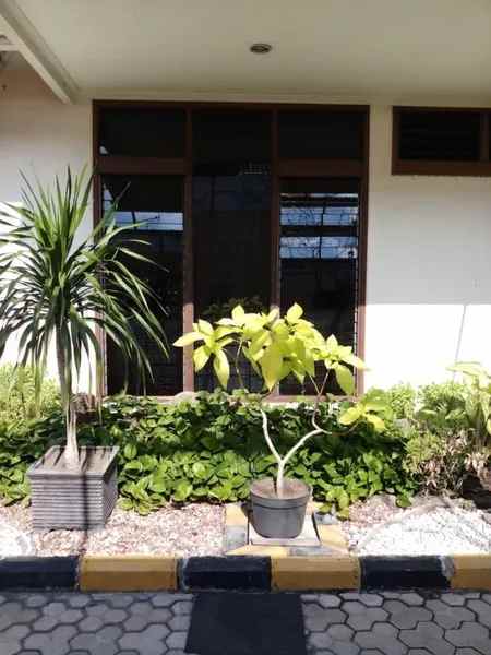 murah rumah area kenjeran hitung tanah 6 jutaan