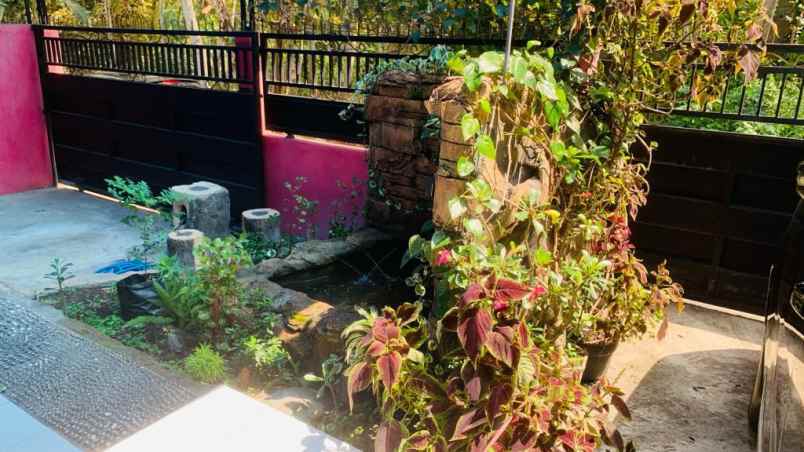 rumah bagus harga baik di kebonagung kabupaten malang