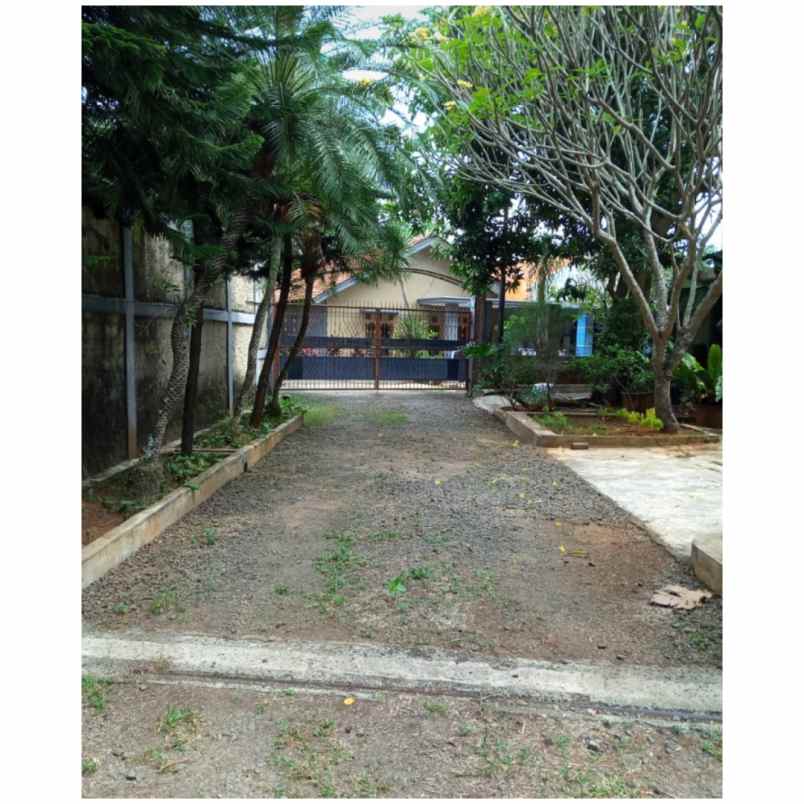 rumah dekat mesjid bani umar