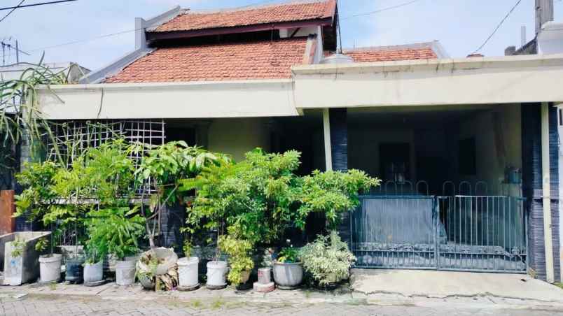rumah dijual medokan semampir sukolilo surabaya timur