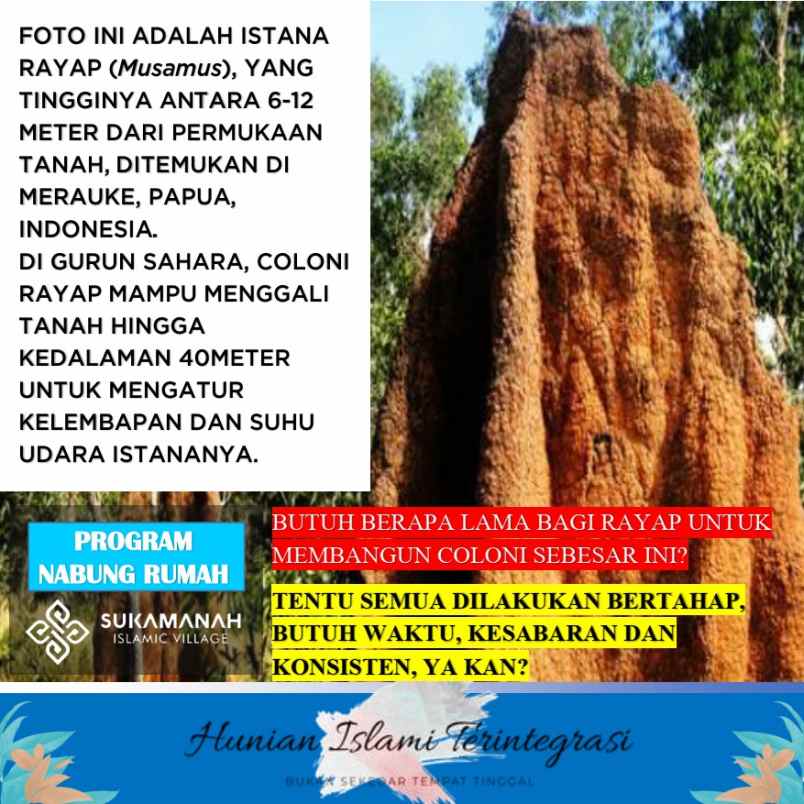 rumah jalan alternatif kota