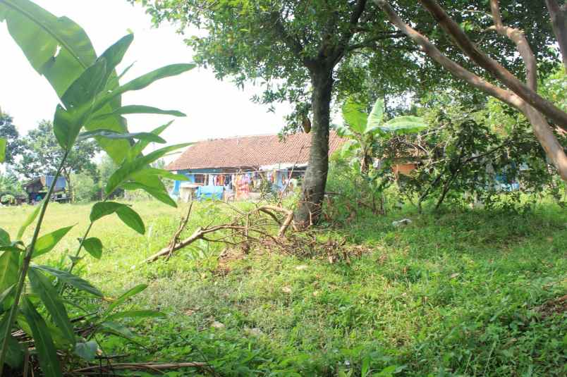 rumah jl perdana raya sukadamai