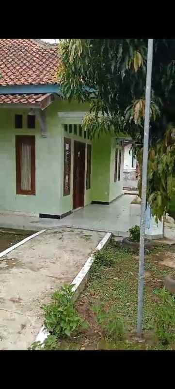 rumah kampung di tengah pemukiman