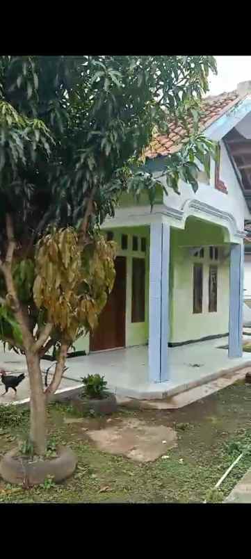 rumah kampung di tengah pemukiman