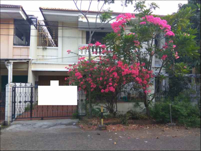 rumah kelapa puan kelapa gading