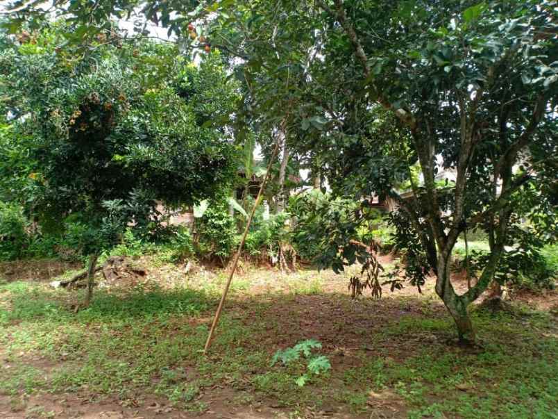 rumah kerjo karanganyar telp wa