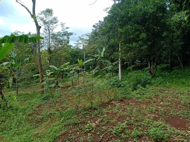 rumah kerjo karanganyar telp wa