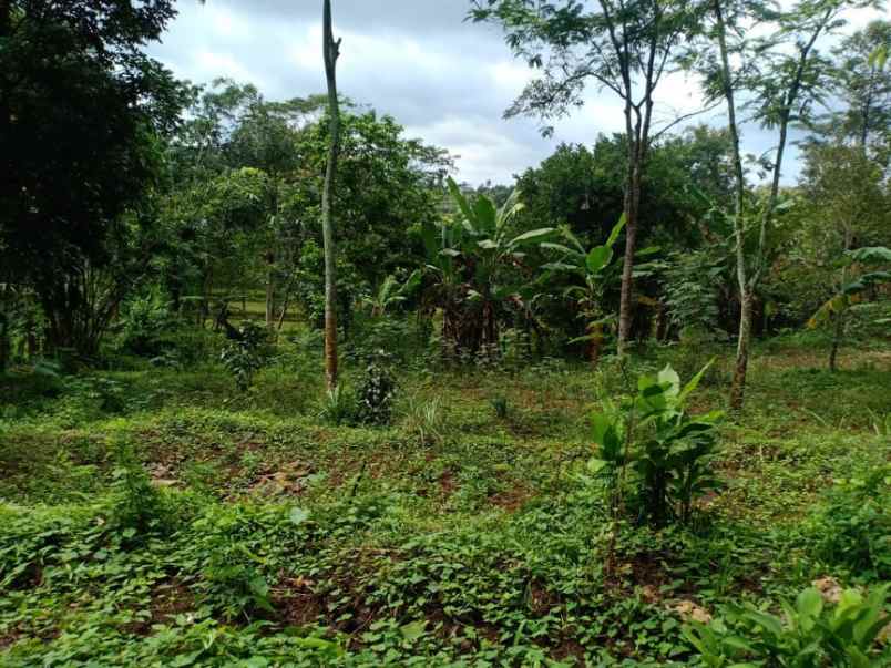 rumah kerjo karanganyar telp wa