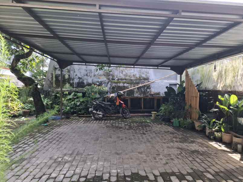 rumah lama dekat lippo jember