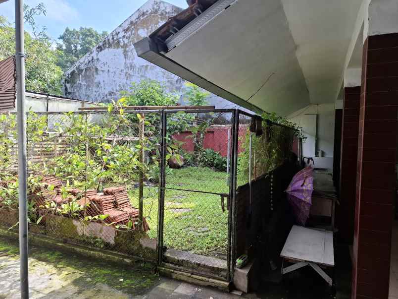 rumah lama dekat lippo jember