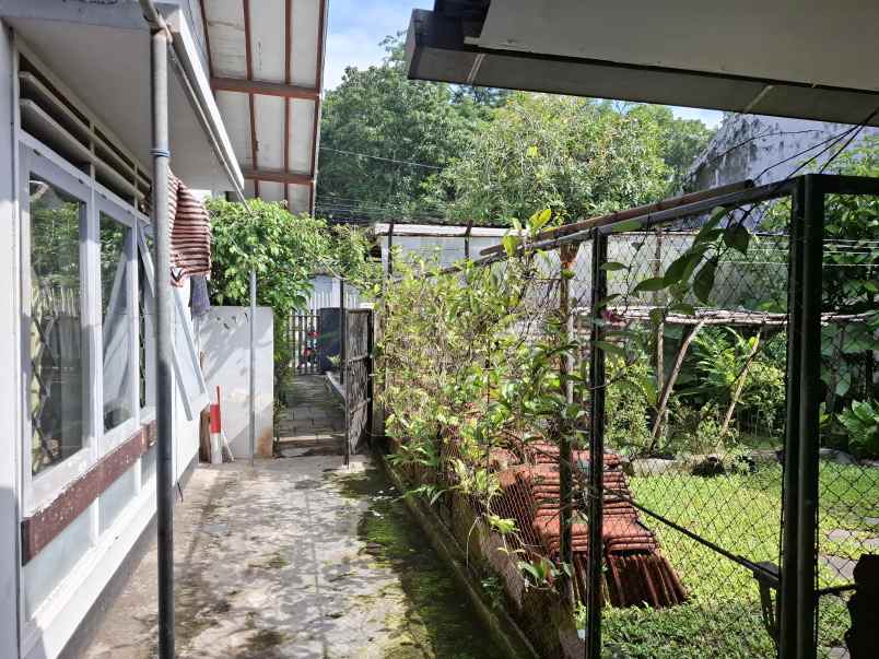 rumah lama dekat lippo jember