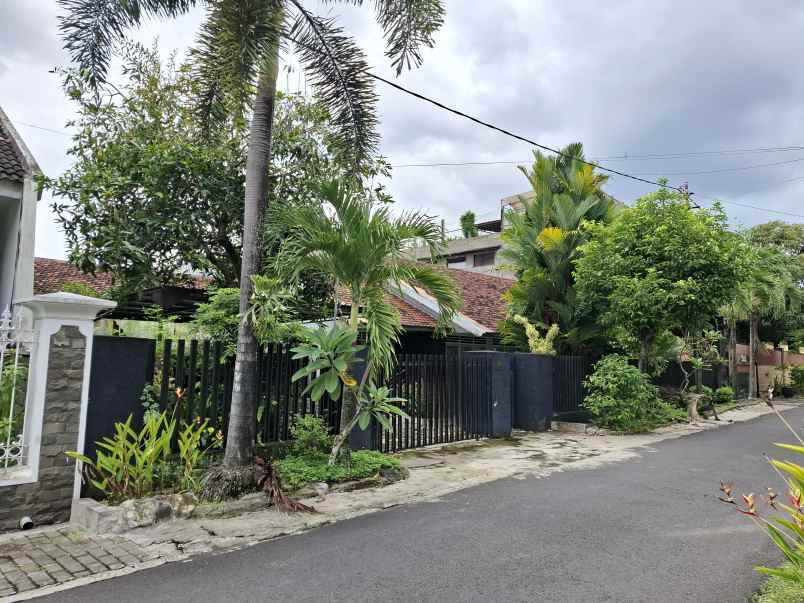rumah lama dekat lippo jember