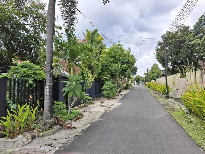 rumah lama dekat lippo jember