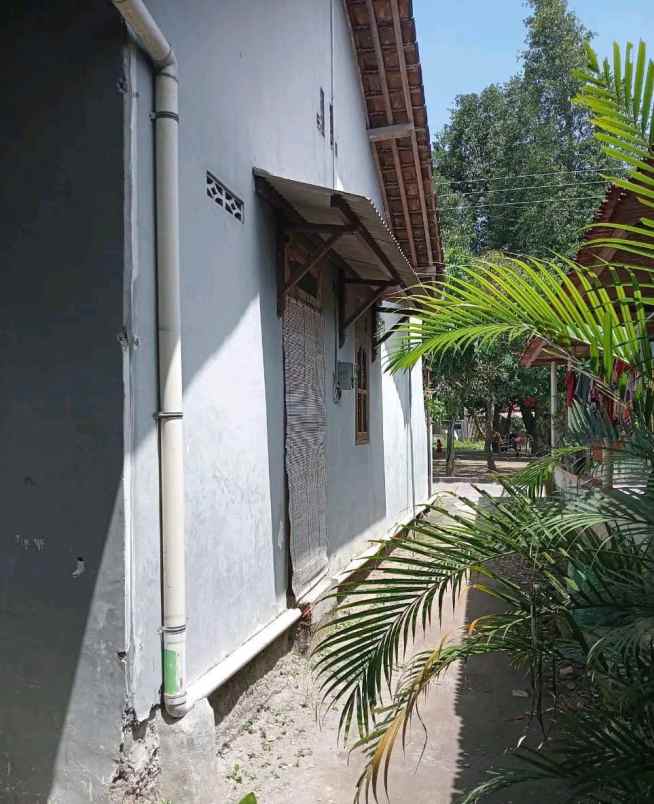 rumah minimalis dalam ringroad dekat kampus pgri jogja