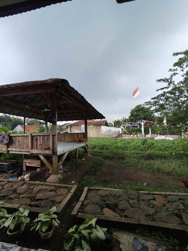 rumah second tanah luas di dramaga bogor