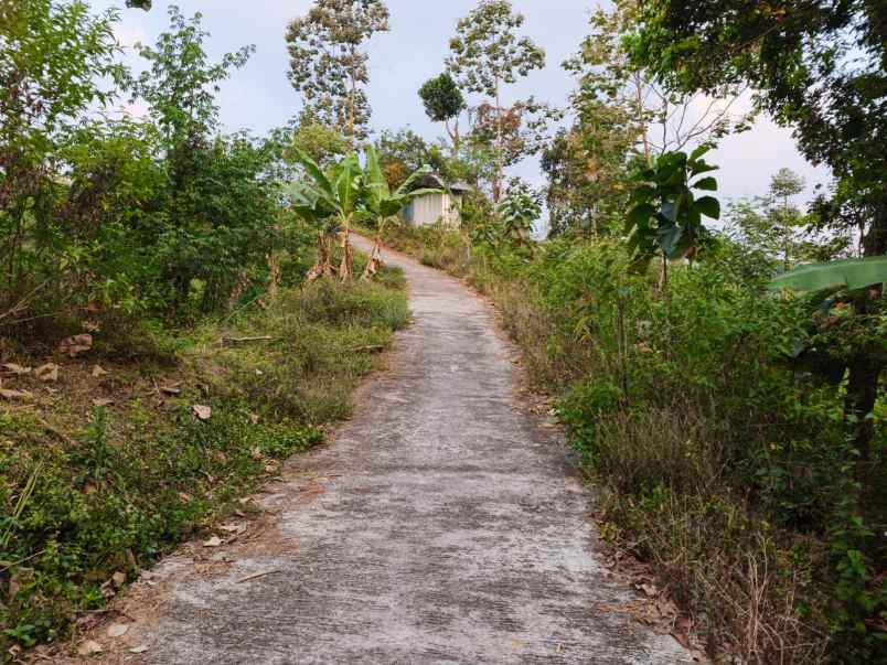 tanah 1800m udara dingin karangpandan