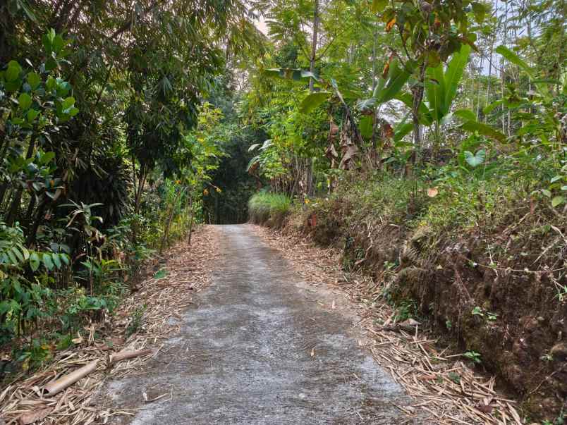tanah 1800m udara dingin karangpandan
