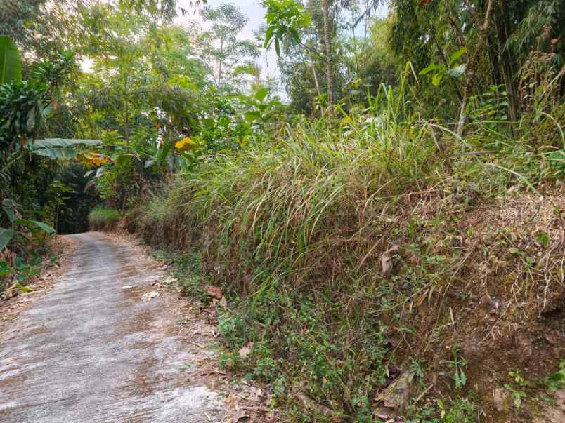 tanah 1800m udara dingin karangpandan