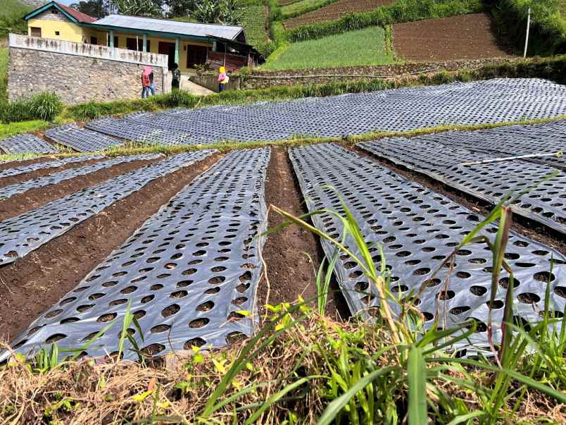 tanah 206m gondosuli tawangmangu karanganyar