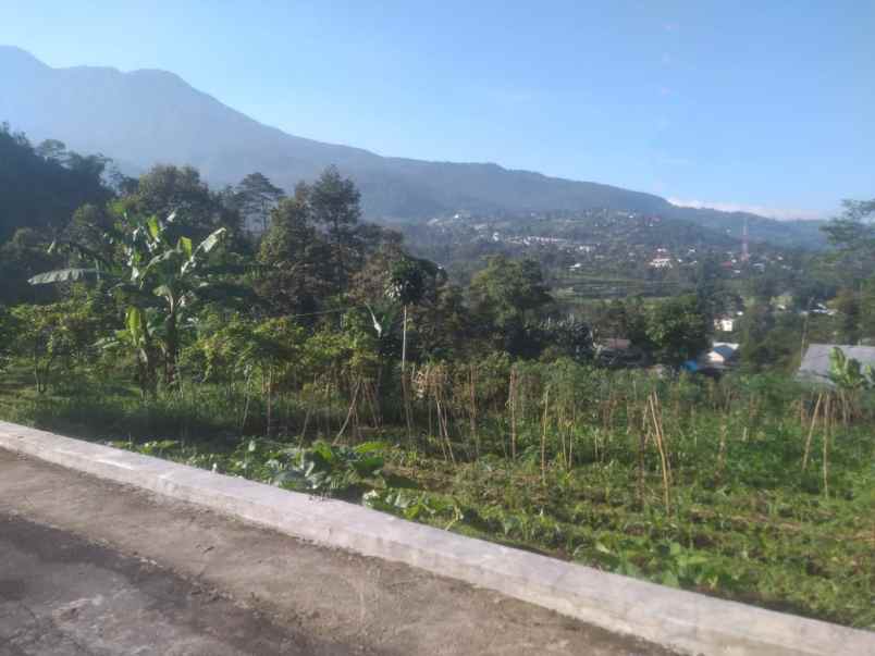 tanah 584m kemuning karanganyar view gunung lawu