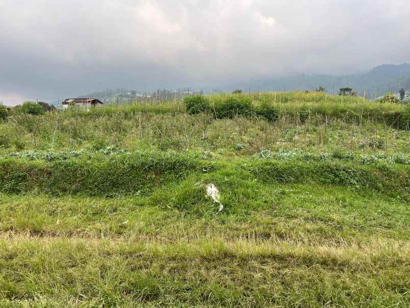 tanah 800m dekat kemuning sky hill cocok untuk villa