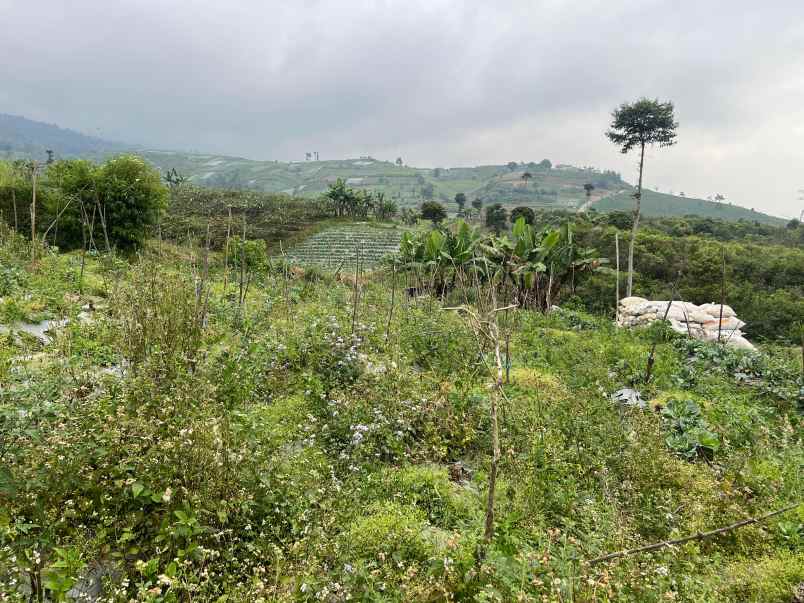 tanah 800m dekat kemuning sky hill cocok untuk villa