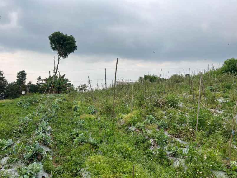tanah 800m dekat kemuning sky hill cocok untuk villa