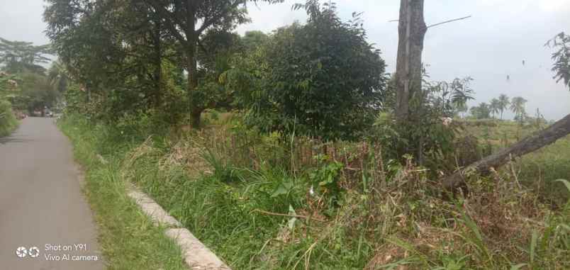 Tanah Di Bogor 6200m Shm Pinggir Jl Abdul Fatah Cibitung Tengah