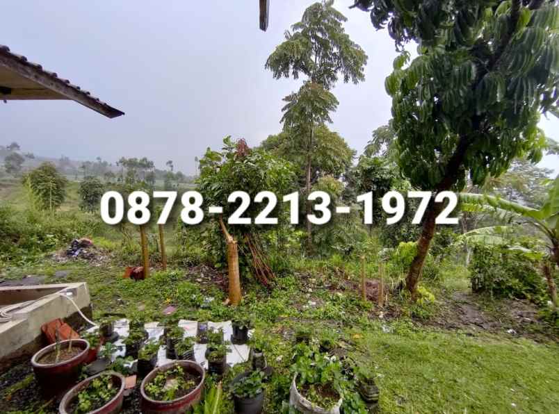 tanah bagus untuk villa dekat ke alun alun lembang