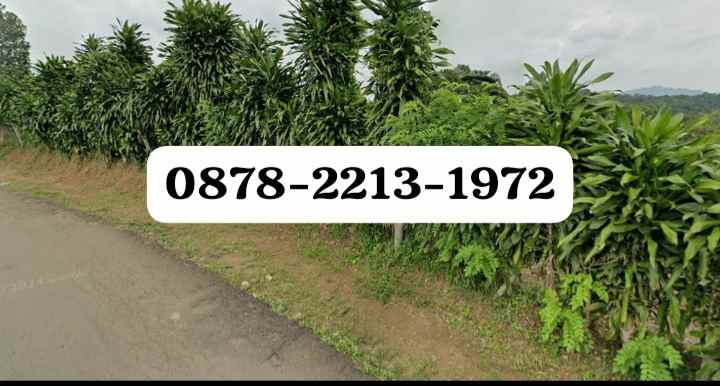 tanah bagus untuk villa di jasinga bogor
