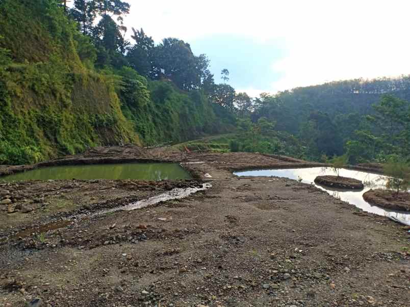tanah barat pasar kemuning