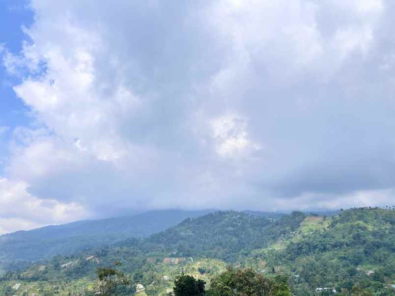 tanah cantik 7000m utara candi cetho karanganyar solo
