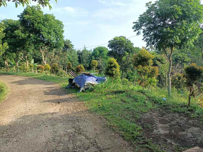 tanah cijeruk tajur halang