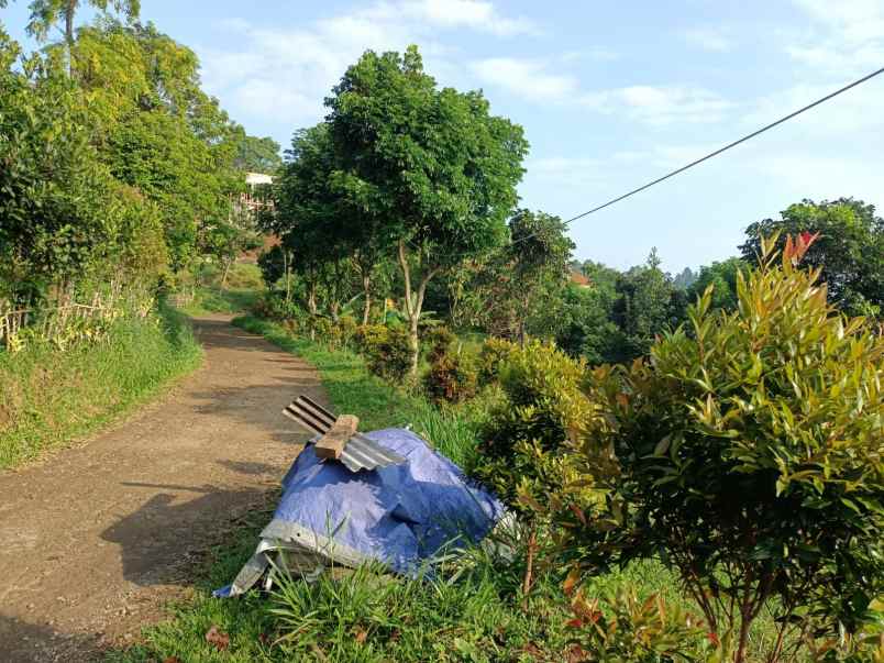 tanah cijeruk tajur halang