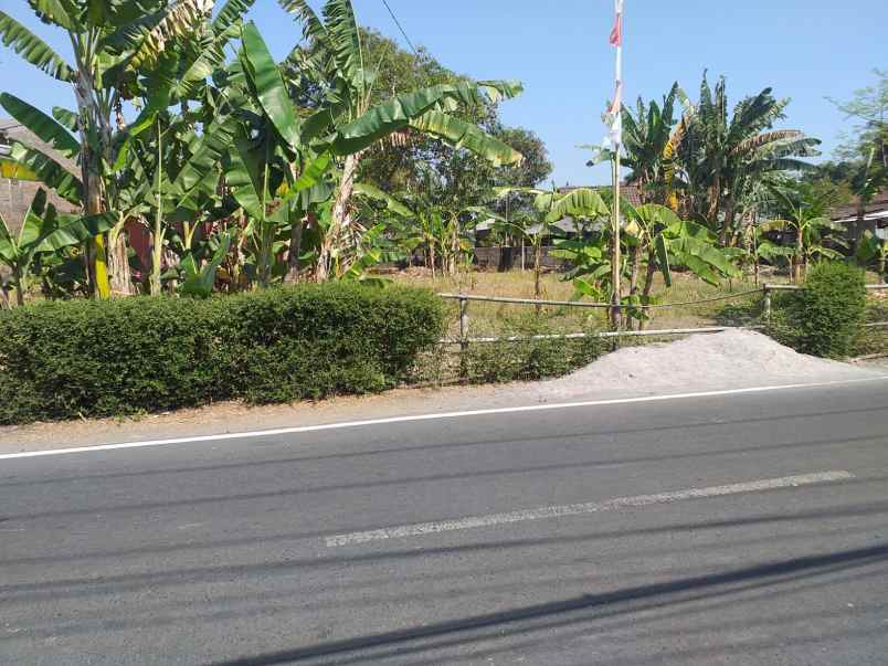 tanah cocok untuk usaha di salatiga jl imam bonjol