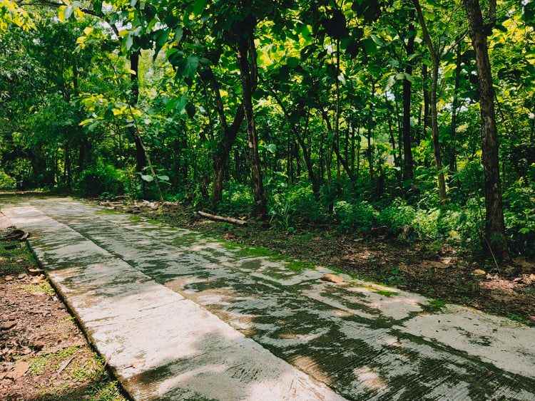 tanah dekat pasar kedawung