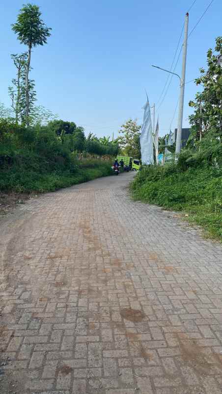 tanah dengan harga murah di bulusan semarang