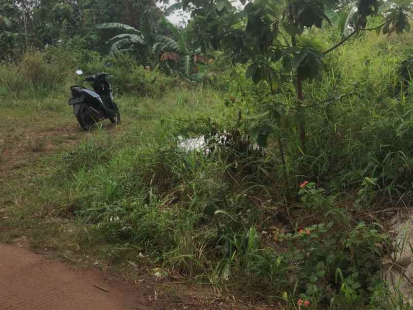 tanah di kampung baru unila luas 736m shm