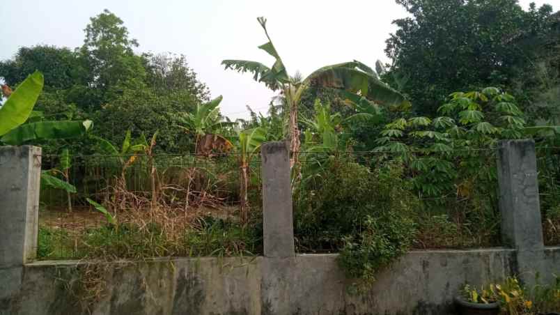 tanah dijual desa tugu jaya cigombong bogor