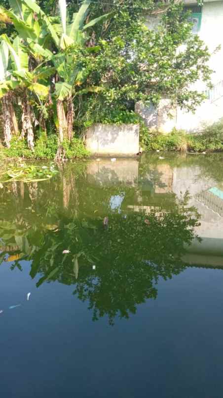 tanah dijual desa tugu jaya cigombong bogor