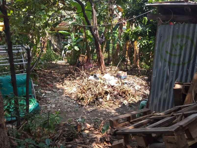 tanah jalan cipinang pulo maja