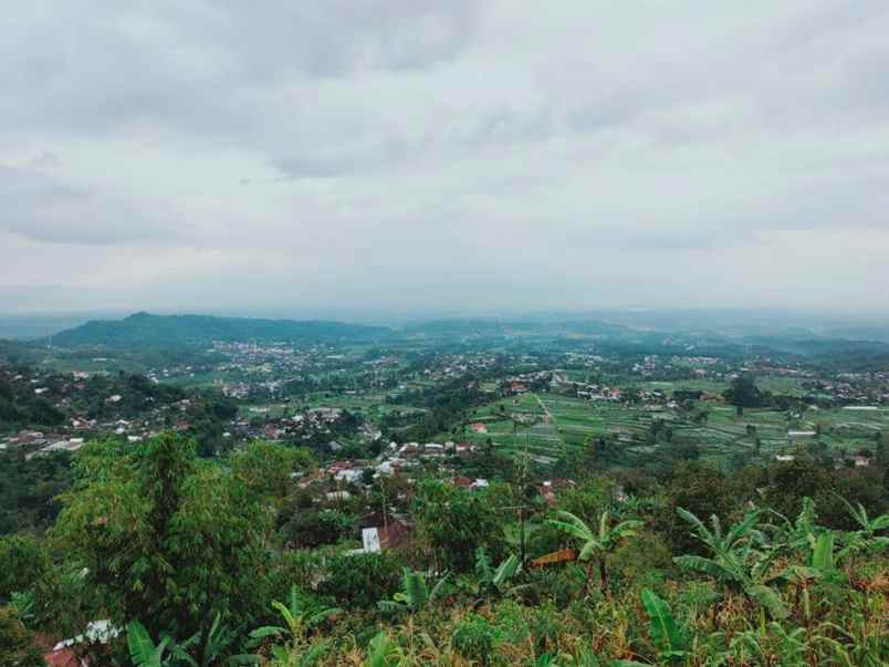 tanah kawasan wisata kebun the