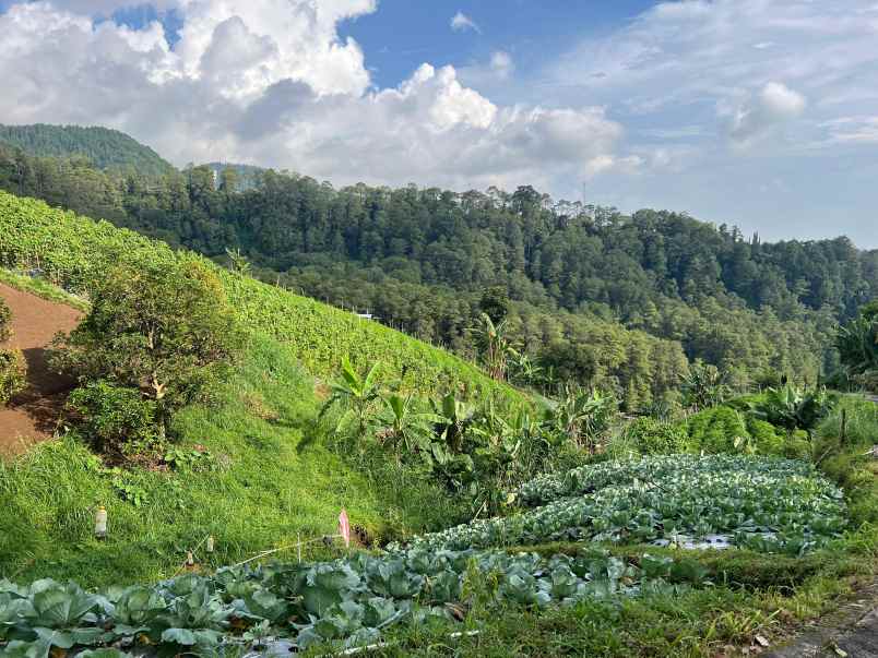 tanah kawasan wisata tawangmangu 1150m 600jt